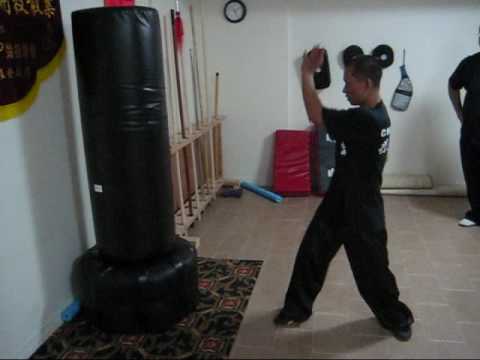clf - Choy Lee Fut Bagwork.