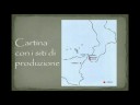 Il vino di Reggio