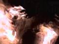 The Amazing Fire Dog