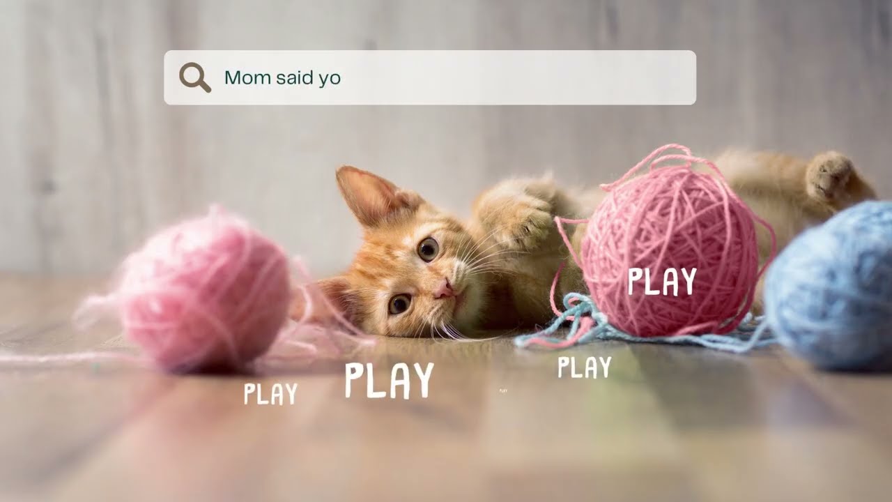 Delray Beach Valentine's Day Pet Care Services