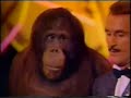 Las Vegas Monkeys Show Funny! Las Vegas Monkeys Show Funny!