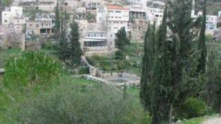 صور بتير صور بتير