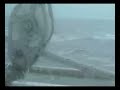 Segeln Segelyacht Sturmwarnung Nordsee