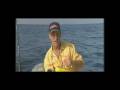 It's tough to argue that piloting a VideoRay ROV isn't just flat out fun. It's even tougher to argue that watching that 500 pound billfish you just landed getting reeled in isn't the coolest thing ever. From the salon of your sport fishing yacht to the tip of your bass boat, VideoRay is perfect for checking out the action at your favorite fishing holes. VideoRay is perfect for a night of entertaining on your luxury yacht. Send down the VideoRay to get a glimpse of the reef or the local ...