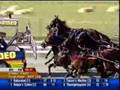 Auckland Reactor - Southern Supremacy Stakes 3YO Final (Gr2)
