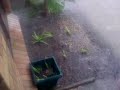 Bit of rain
