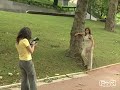 curso de fotografia tripode cap  18 parte 2/2 