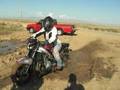 videos de stunting