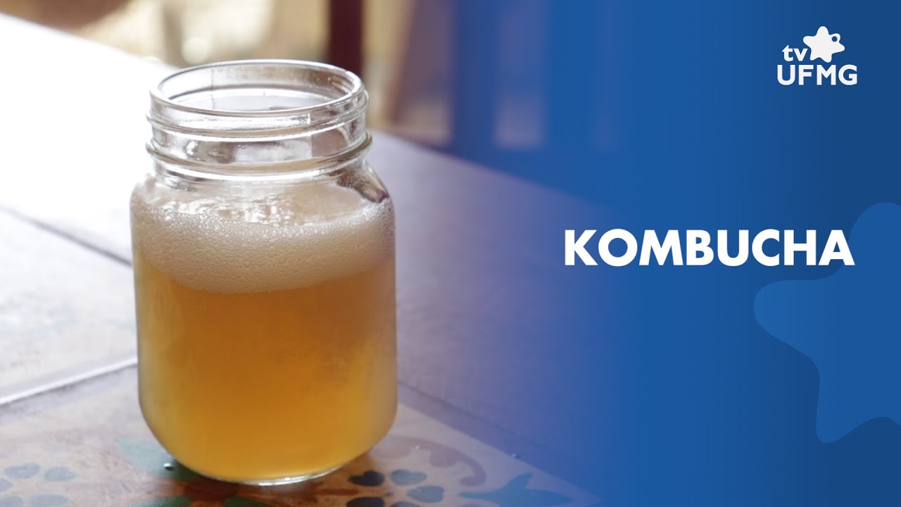 Kombucha: pesquisador fala das propriedades e alerta sobre desinformação a respeito da bebida