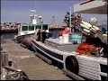 synthetic-sea-plastic-in-the-open-ocean.html