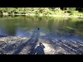 sadie lilkes swiming