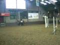 videos de Springwedstrijd barrage ronde Gina op Binky!