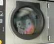 In de wasmachine