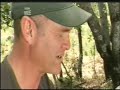 Two Male lions kills Hyena Two Male lions kills Hyena