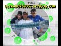 greenboys
