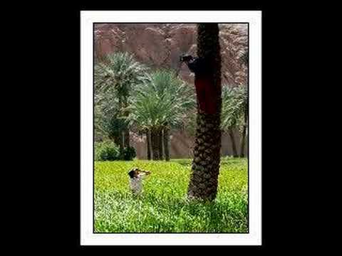Iran from persian gulf to alborz