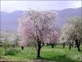 a vid about the nature of iran. mountains and the north of iran in focus. with a very beuatifull traditional(bastani) music.

dont bring hate in this vid, i dont want to hear about war or anything 

enjoy!!