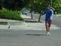Training Pigeon to Fly