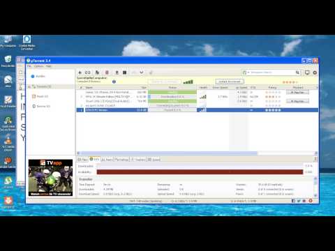 how to patch cricket 2007 to 2013