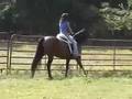 Margarita -- first ride at OSF