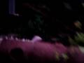 MOV01601