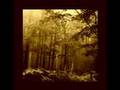 Ashram-Lady