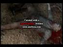 residentevil 4 - evaneascence lithium