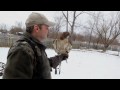 The allure of falconry: One man's passion
