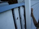 Cat Spider VS Grasshopper! Part 8