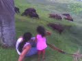 Represa em Rio Preto (CAPIVARAS)