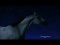  The Sire Young Black Stallion Blue Sky Project Clorox comercial music Pirates Mermaids wild horse horses video