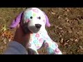 http://urls.re/psS .Live While We're Young - Webkinz Music Video