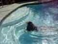 The Mermaid Fisherman Series Episode 1
