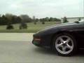 Trans Am WS6 Vs Civic TypeR