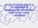 snow leopards-let go