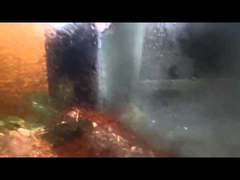 how to provide humidity for hermit crabs