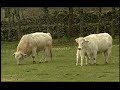 Reserva de la Biosfera Sierras de B�jar y Francia