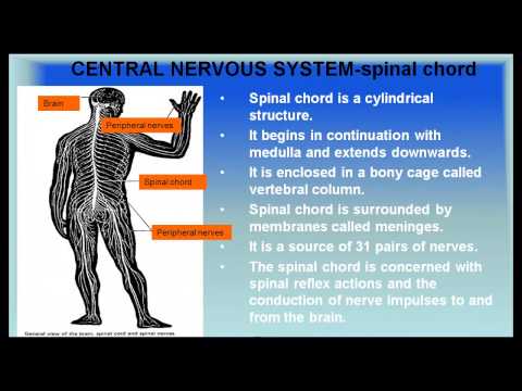 how to control sympathetic nervous system