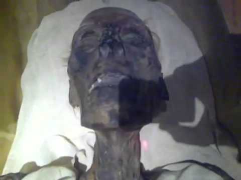 Firon Videos Sense Tube Firon Videos Sense Tube