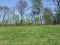 Salchicha video