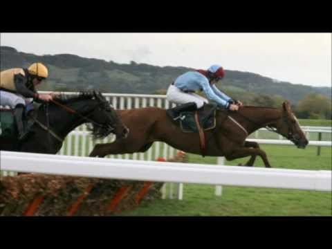 cheltenham gold cup