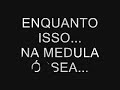 Maturação de linfócitos T Maturação de linfócitos T