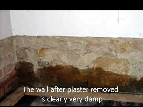 how to cure damp