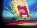 soild it spungebob