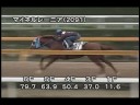 [調教] 081029 マイネルレーニア 「スワンステークス」前追い切り
