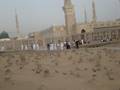 videos de jannat ul baqi.MPG