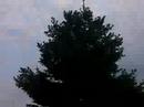 crop dusting crop dusting