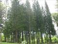 tagaytay wedding destinations, venues, churches, locations