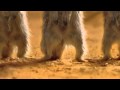 Messi - Pepsi 2010 - New Advert Hd