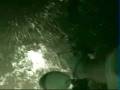 Santee Cooper 7ft bowfishing gator